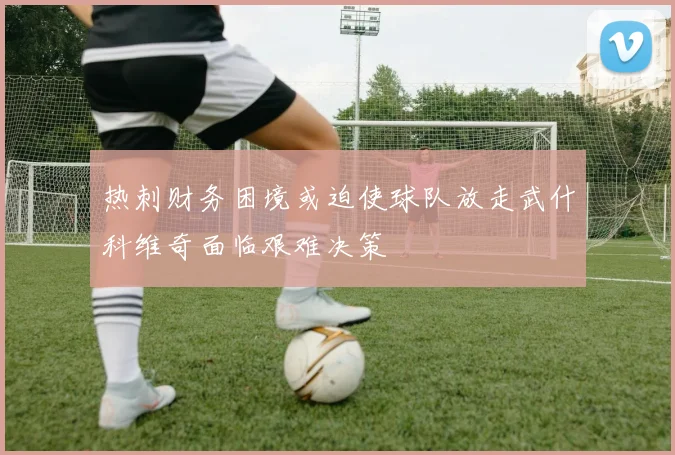 热刺财务困境或迫使球队放走武什科维奇面临艰难决策