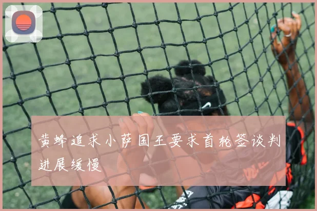 黄蜂追求小萨国王要求首轮签谈判进展缓慢
